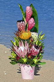 Ku'uipo Protea Tropical Arrangement